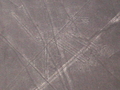 Nazca-Linien: Hund