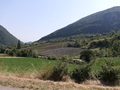 Lavendel, Baronnies Provencales