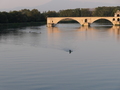 Avignon Bruecke