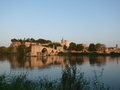 Avignon