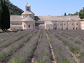 Notre-Dame de Senanque