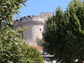 Villeneuve-les-Avignon, Fort Saint-Andre