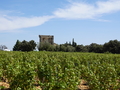 Chateauneuf-du-Pape