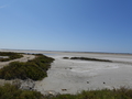 Camargue